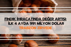 FINDIK İHRACATINDA DEĞER ARTIŞI: İLK 4 AYDA 991 MİLYON DOLAR, TRABZON ZİRVEDE